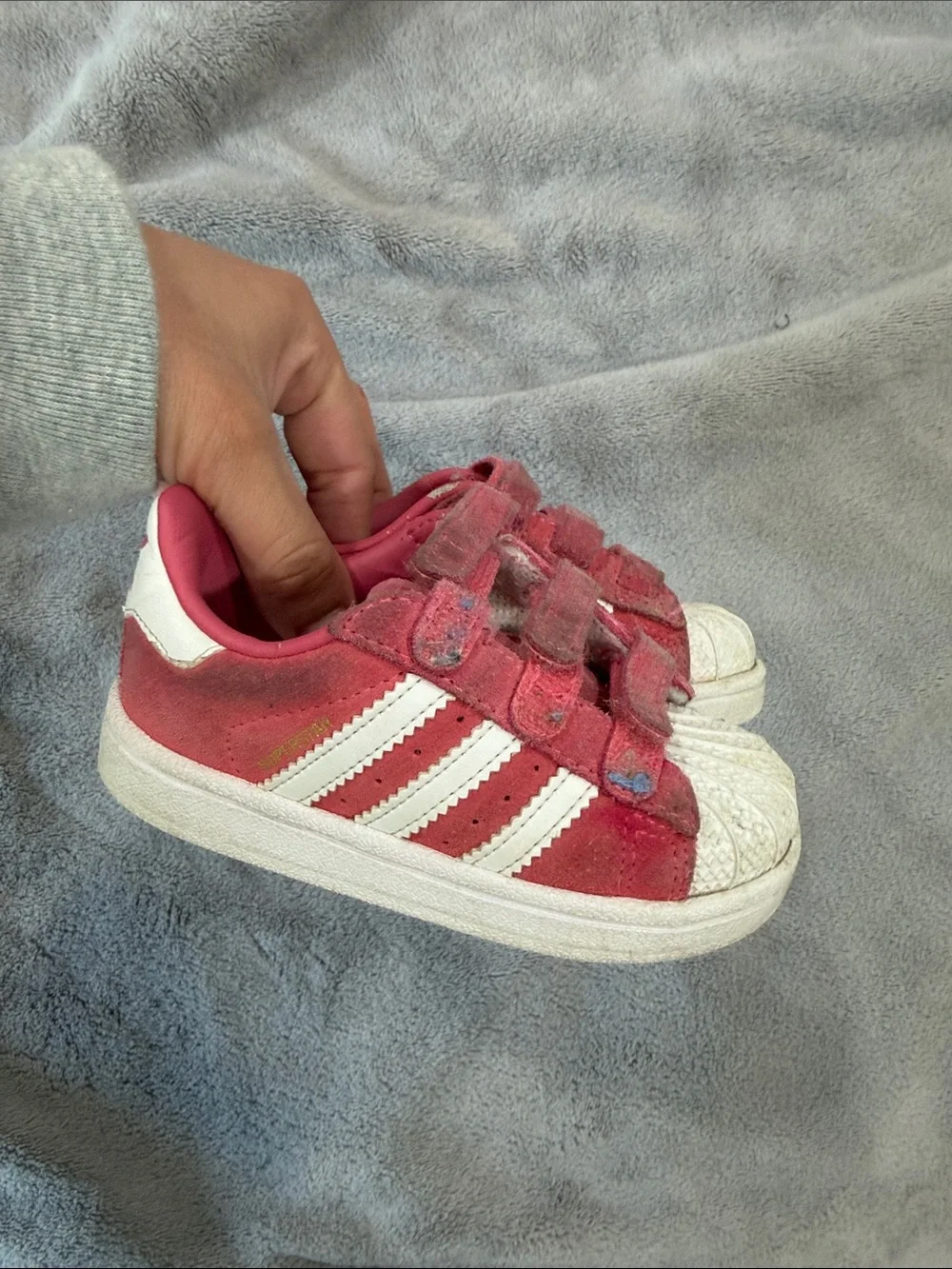 adidas superstar with Velcro toddler 6